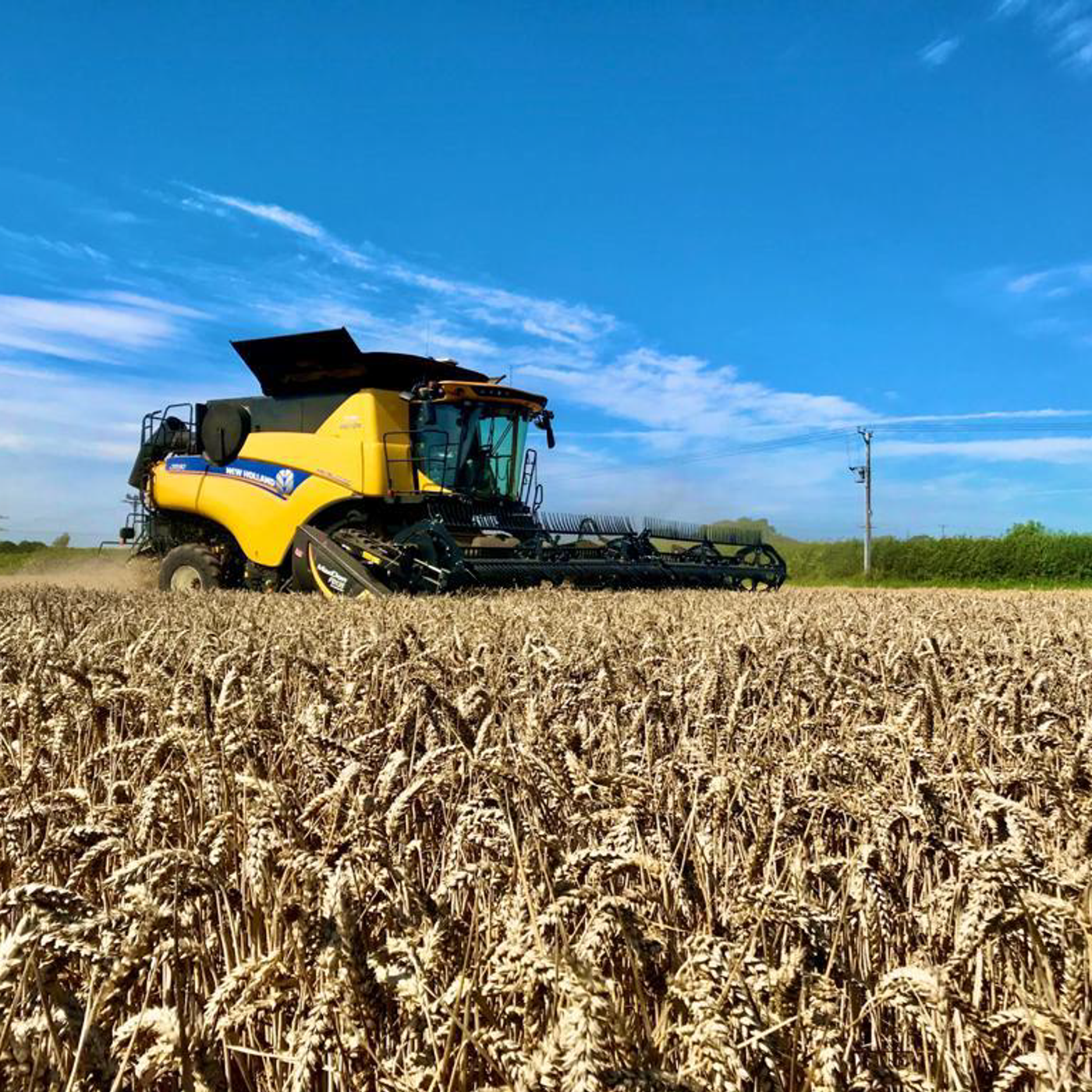 AHDB Food & Farming