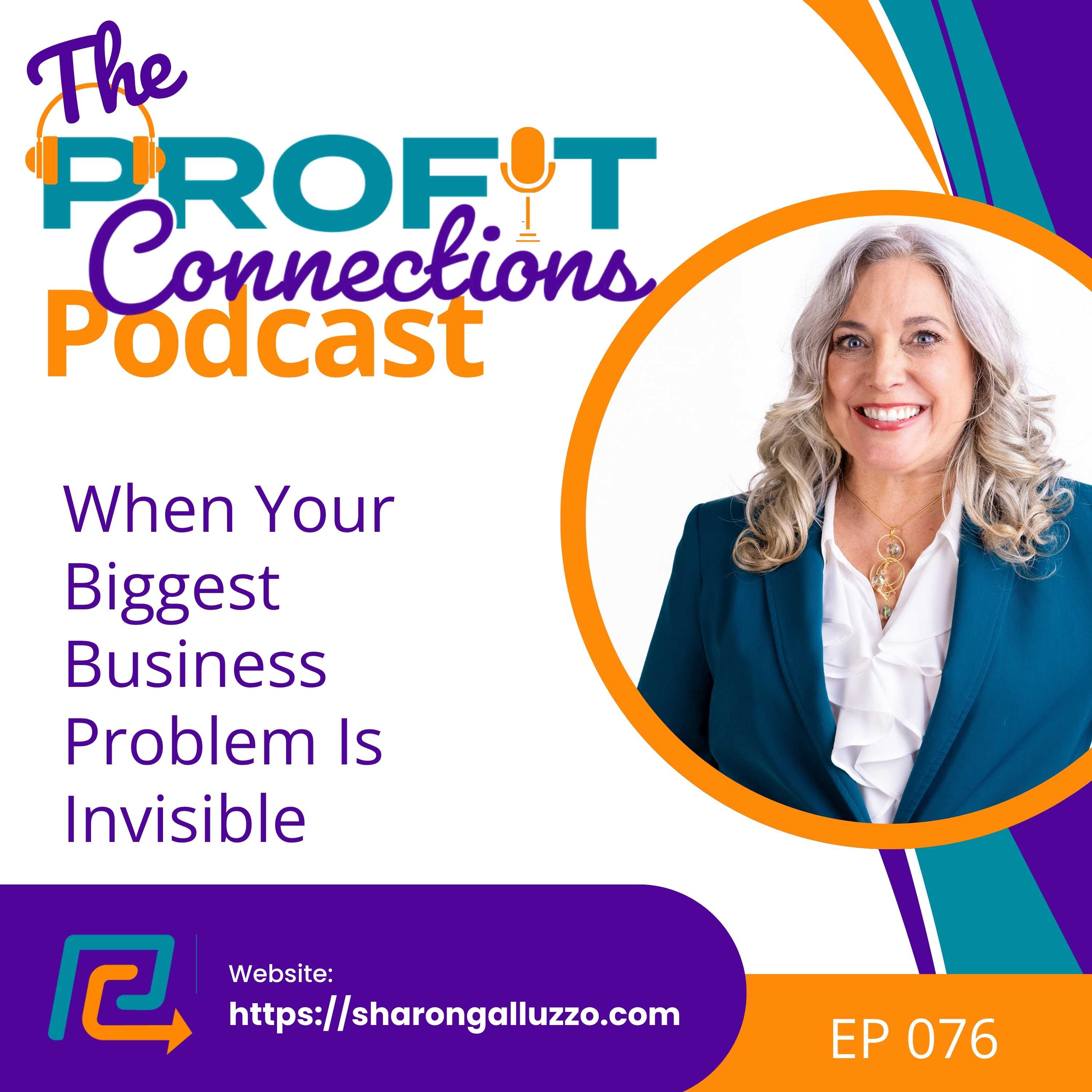 When Your Biggest Business Problem Is Invisible | 076 episode artwork