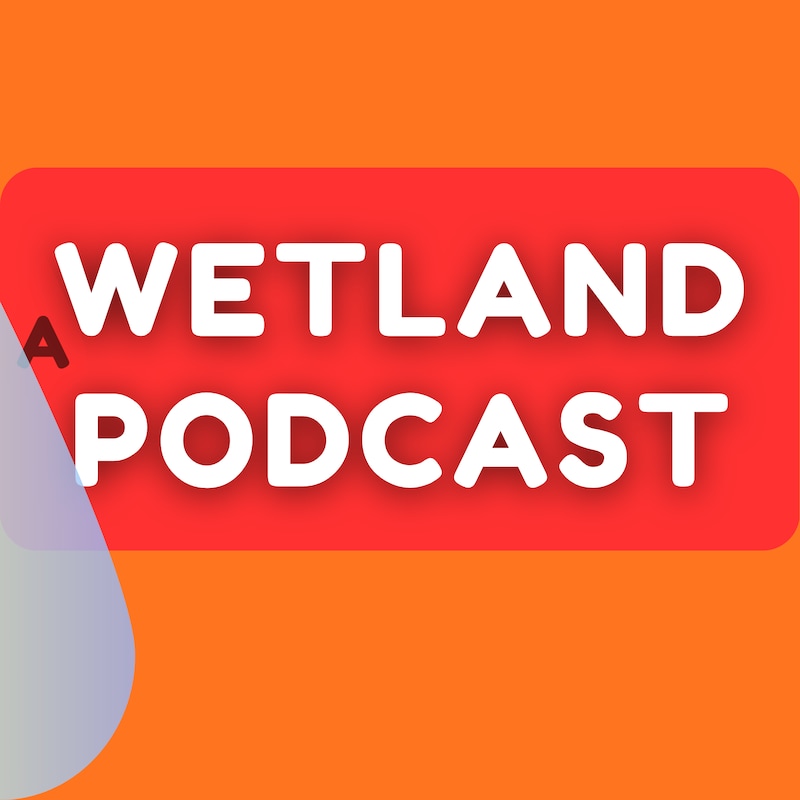 Artwork for podcast A Wetland Podcast