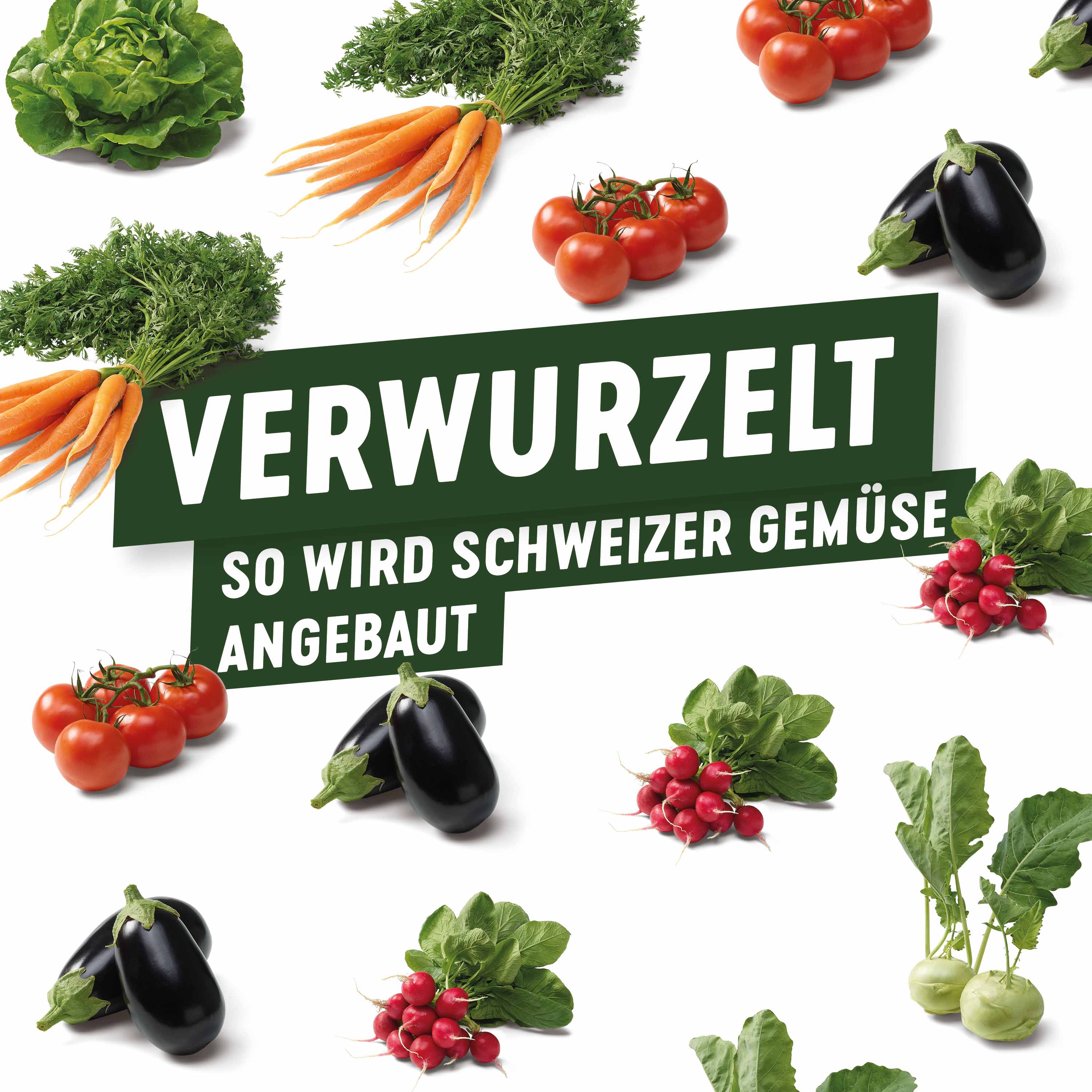 Verwurzelt so wird Schweizer Gemüse angebaut