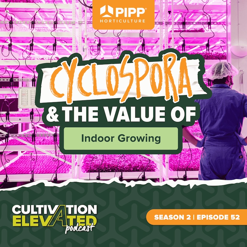 Artwork for podcast Cultivation Elevated - Indoor Farming, Cannabis Growers & Cultivators - Pipp Horticulture