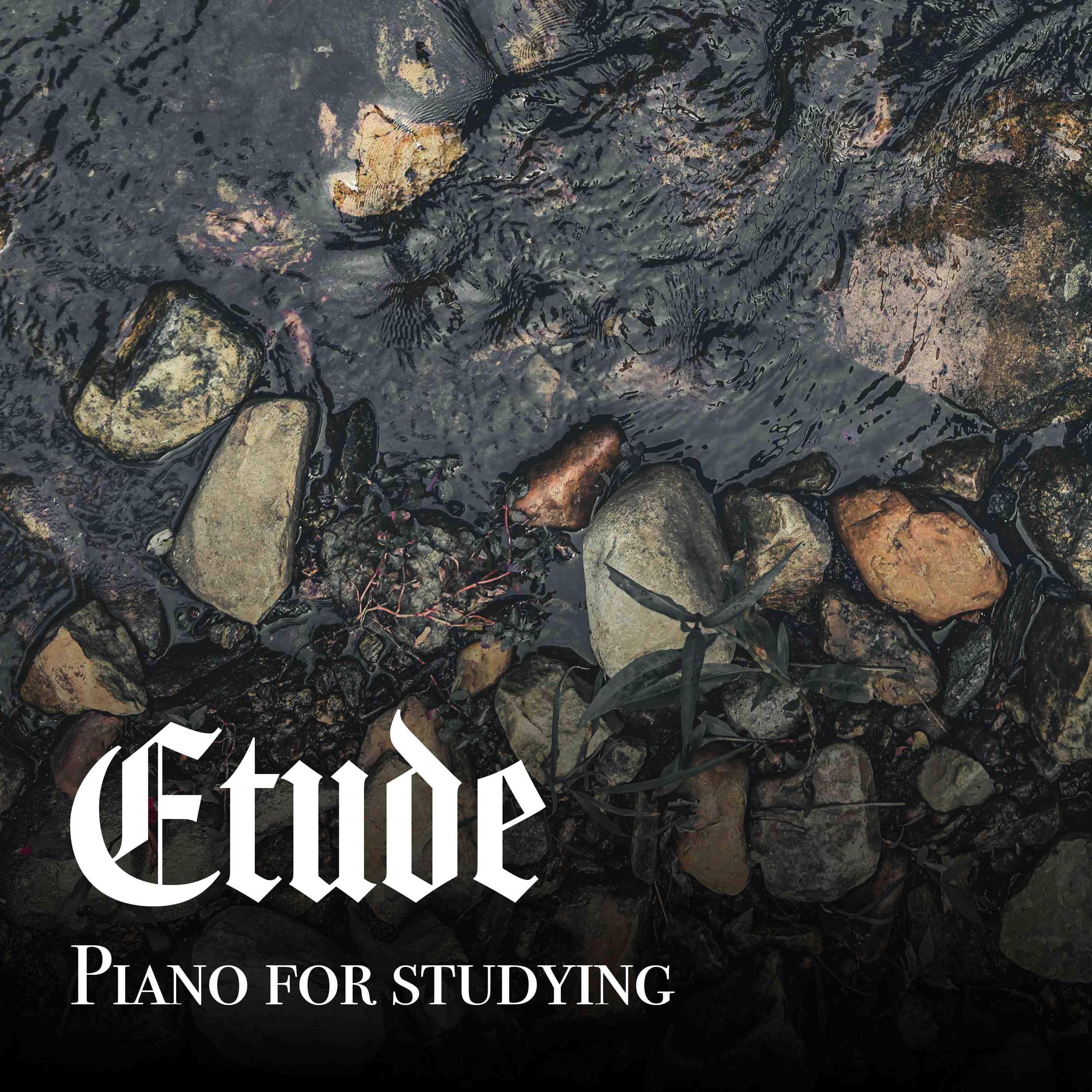 Exam Prep Piano with Stream Sounds - 8 Hours - "California Queen"
