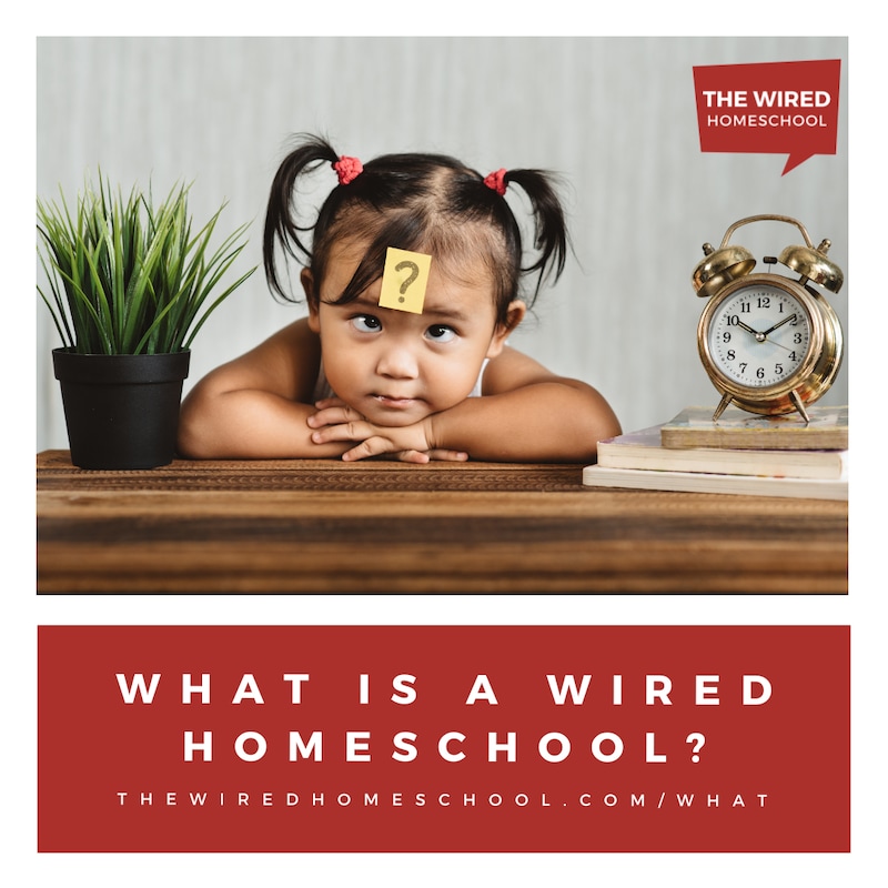 Artwork for podcast The Wired Homeschool