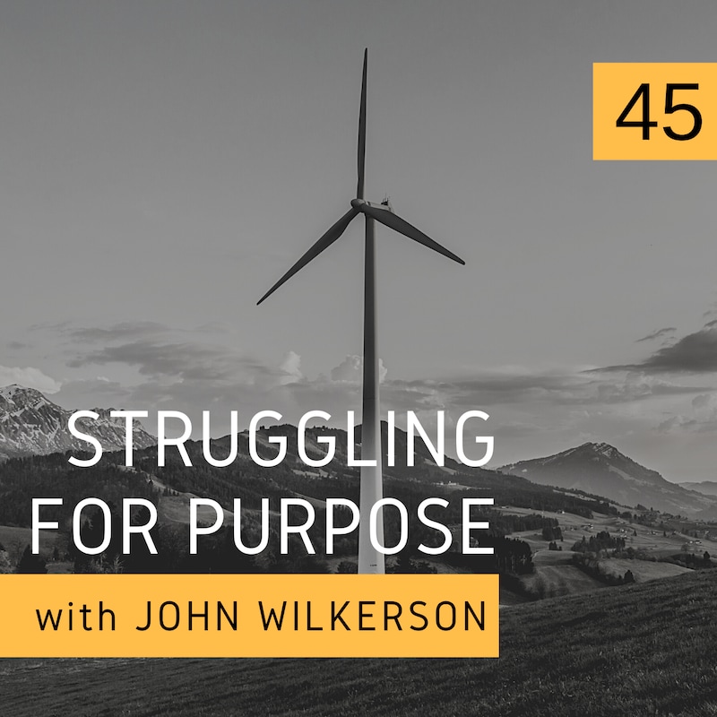 Artwork for podcast Struggling for Purpose