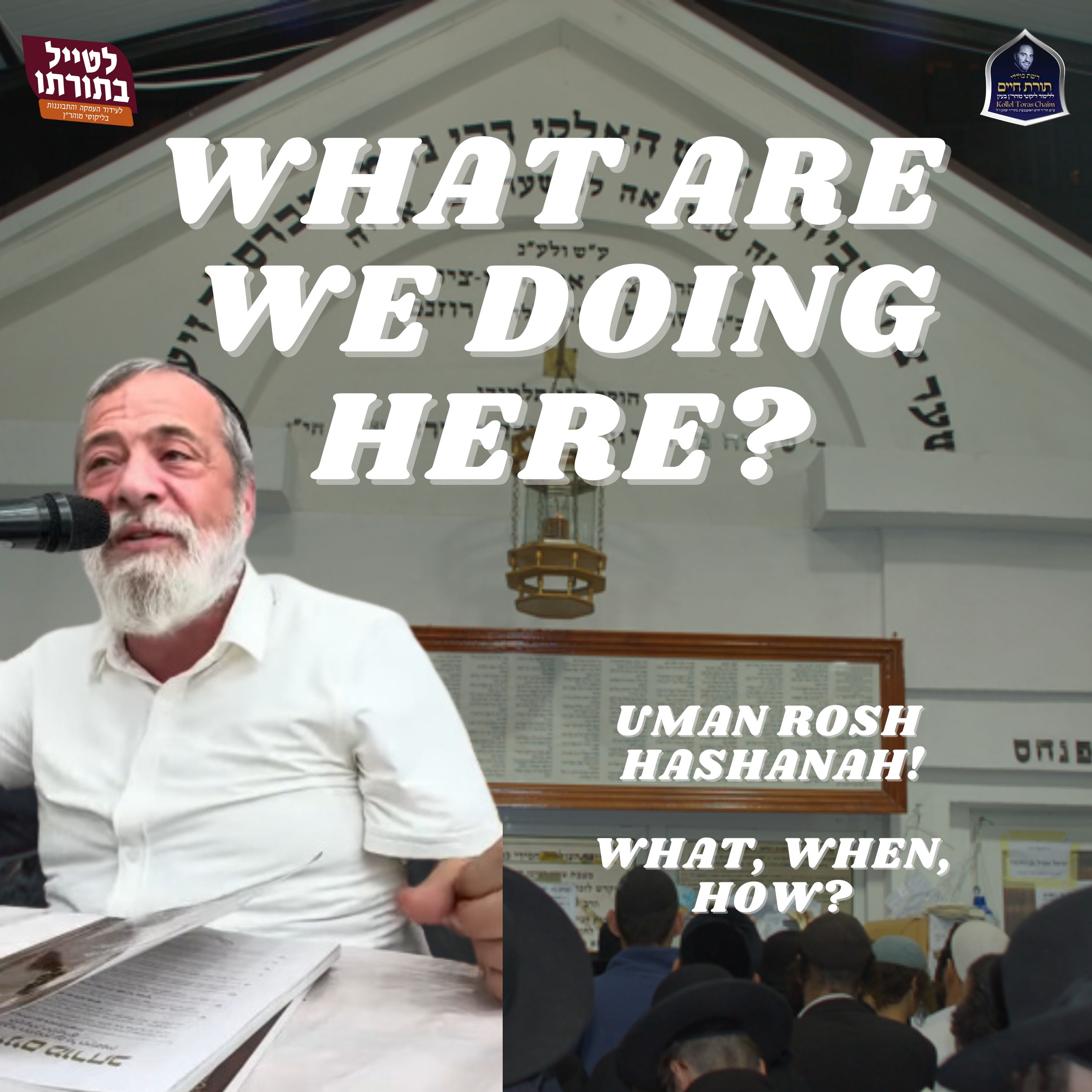 What Are We Doing Here? Uman Rosh Hashanah 5785