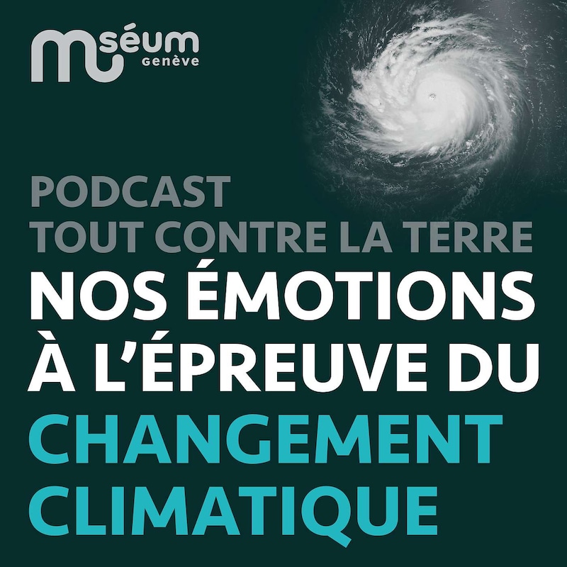 Artwork for podcast Tout contre la Terre, le podcast