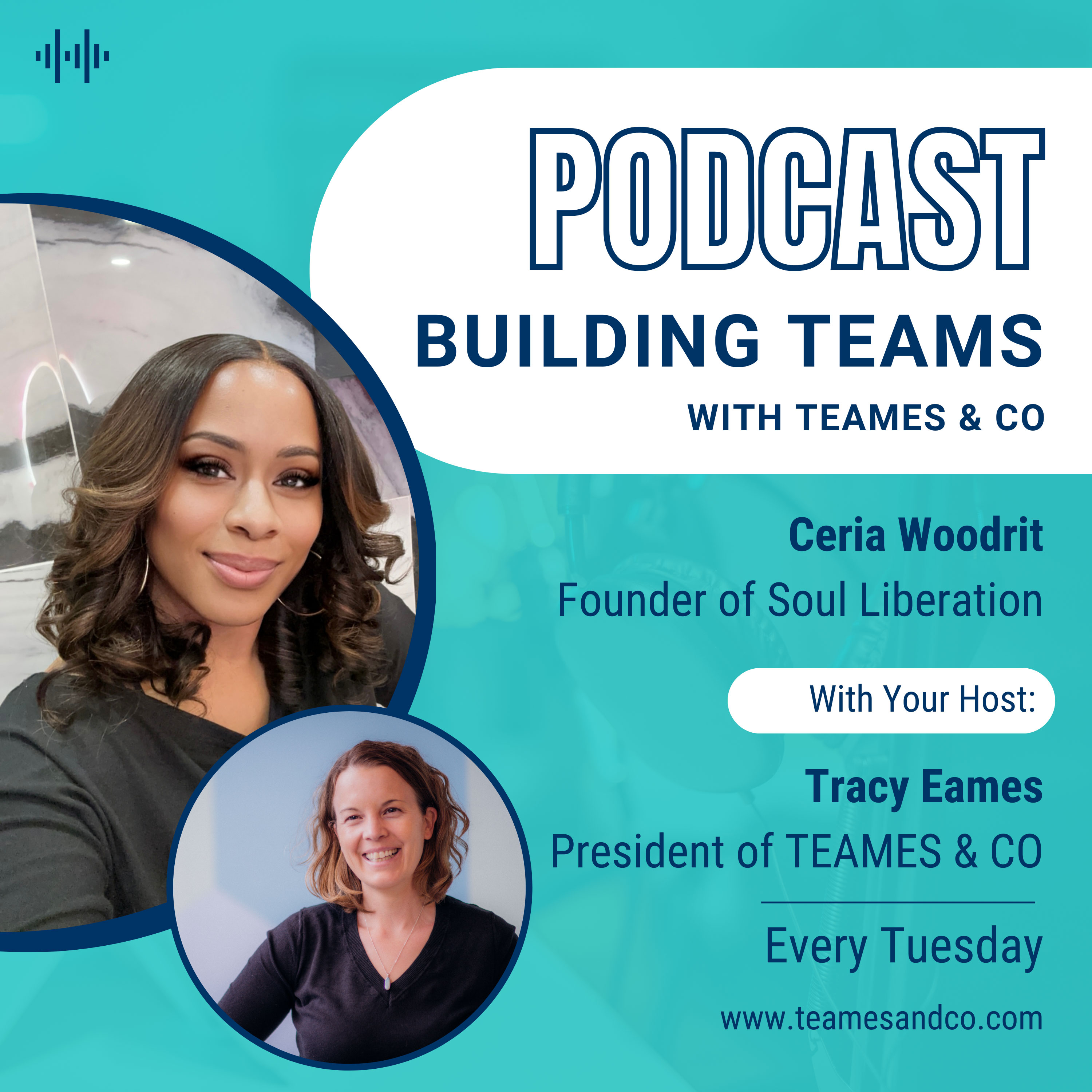 Building Teams with TEAMES & CO