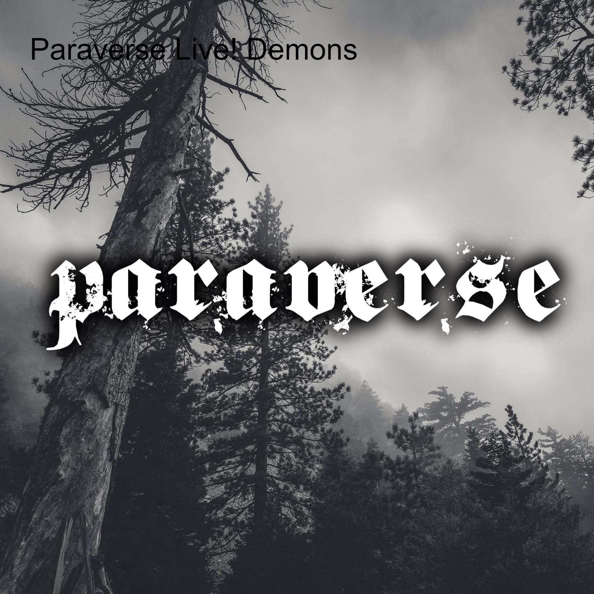Paraverse - Live show and podcast series