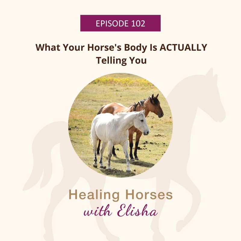 Artwork for podcast Healing Horses with Elisha