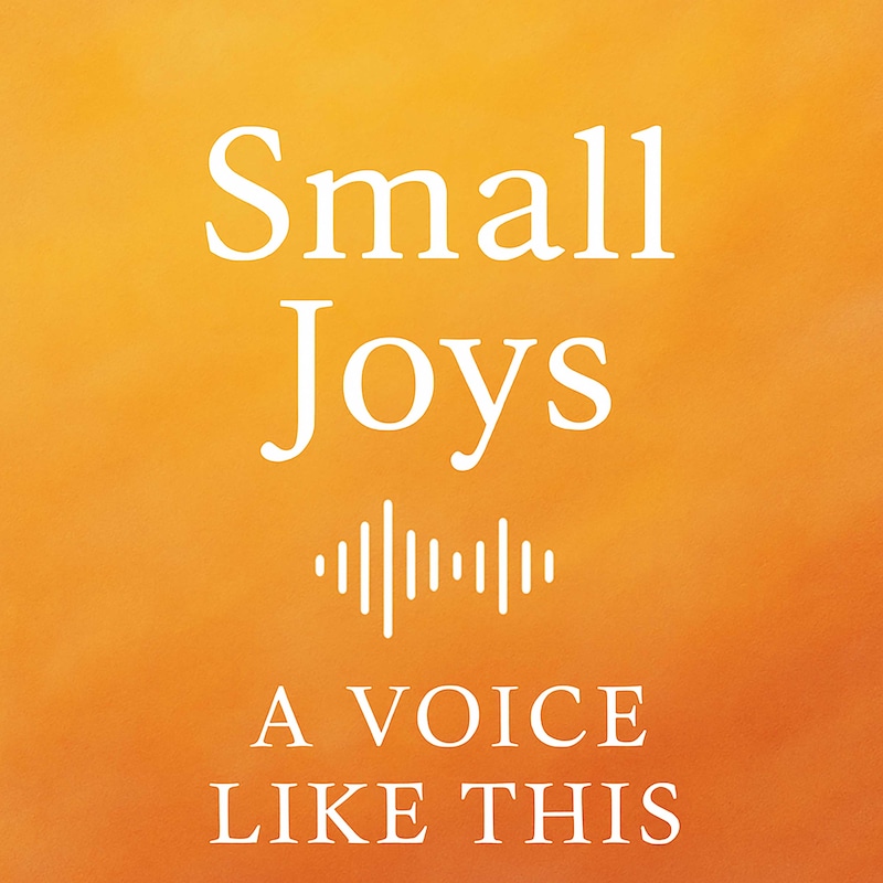 Artwork for podcast A Voice Like This