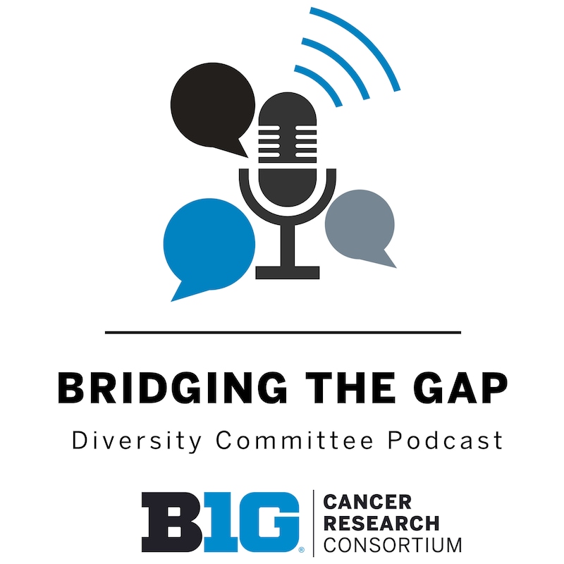 Artwork for podcast Bridging the Gap in Cancer Research