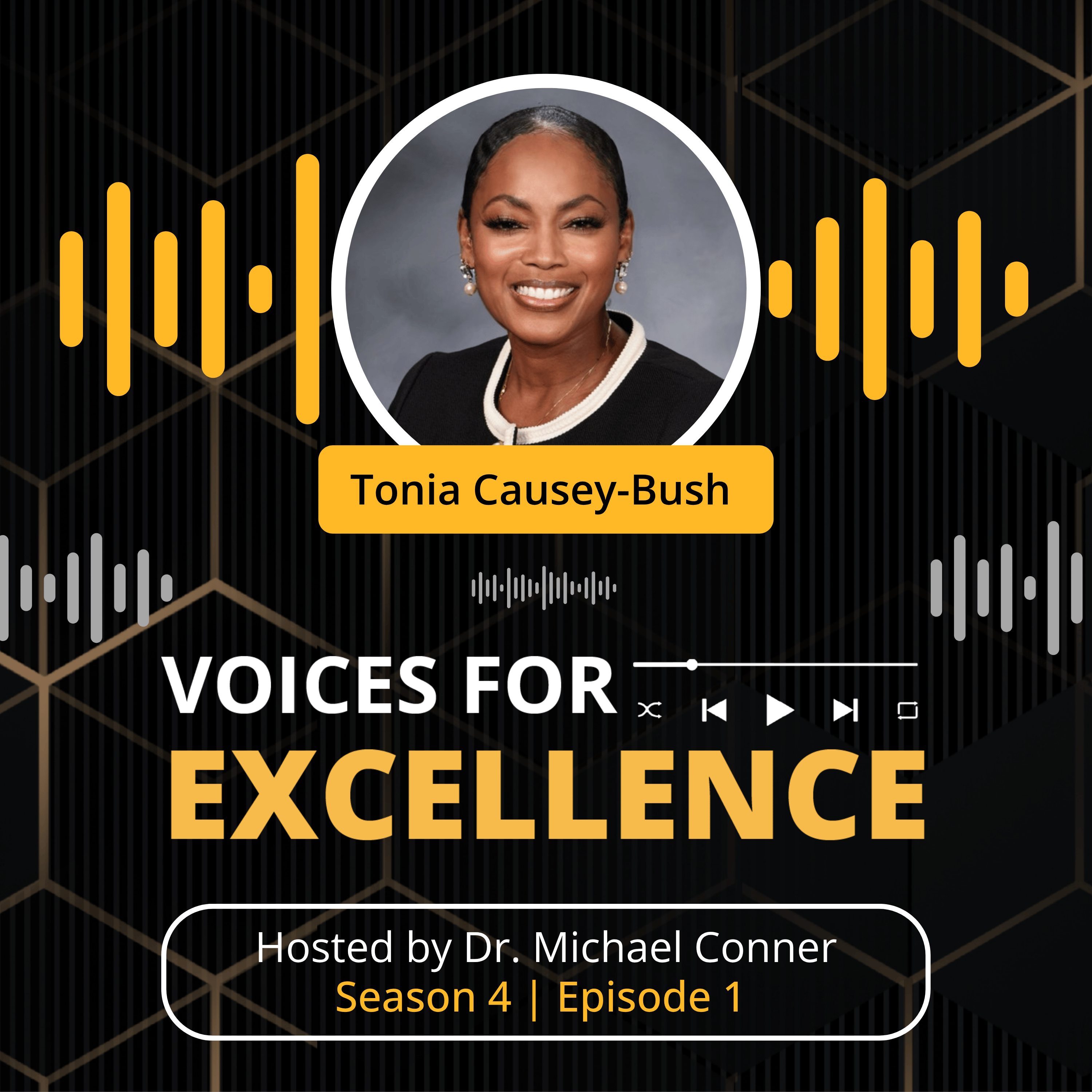 Voices for Excellence