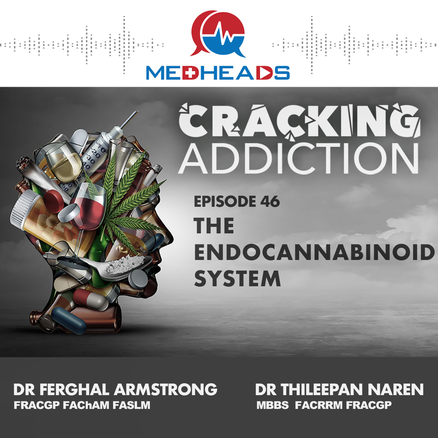 Artwork for podcast Cracking Addiction
