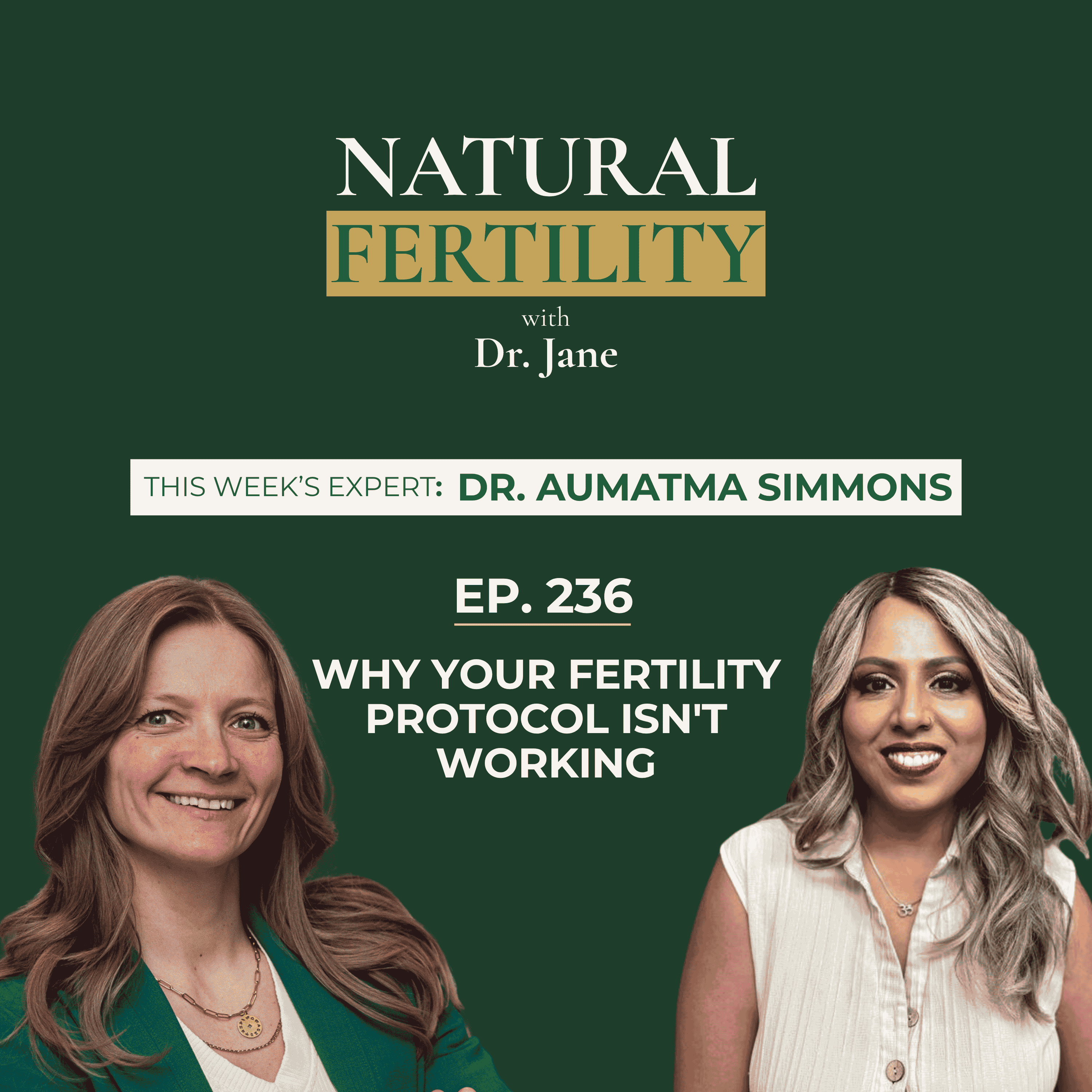 Ep. 236: Why Your Fertility Protocol Isn't Working WITH Dr. Aumatma Simmons episode artwork