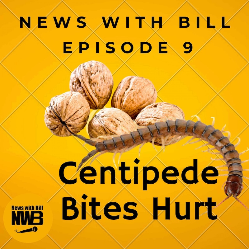 Artwork for podcast News with Bill