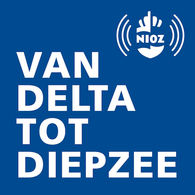Artwork for podcast Van Delta tot Diepzee
