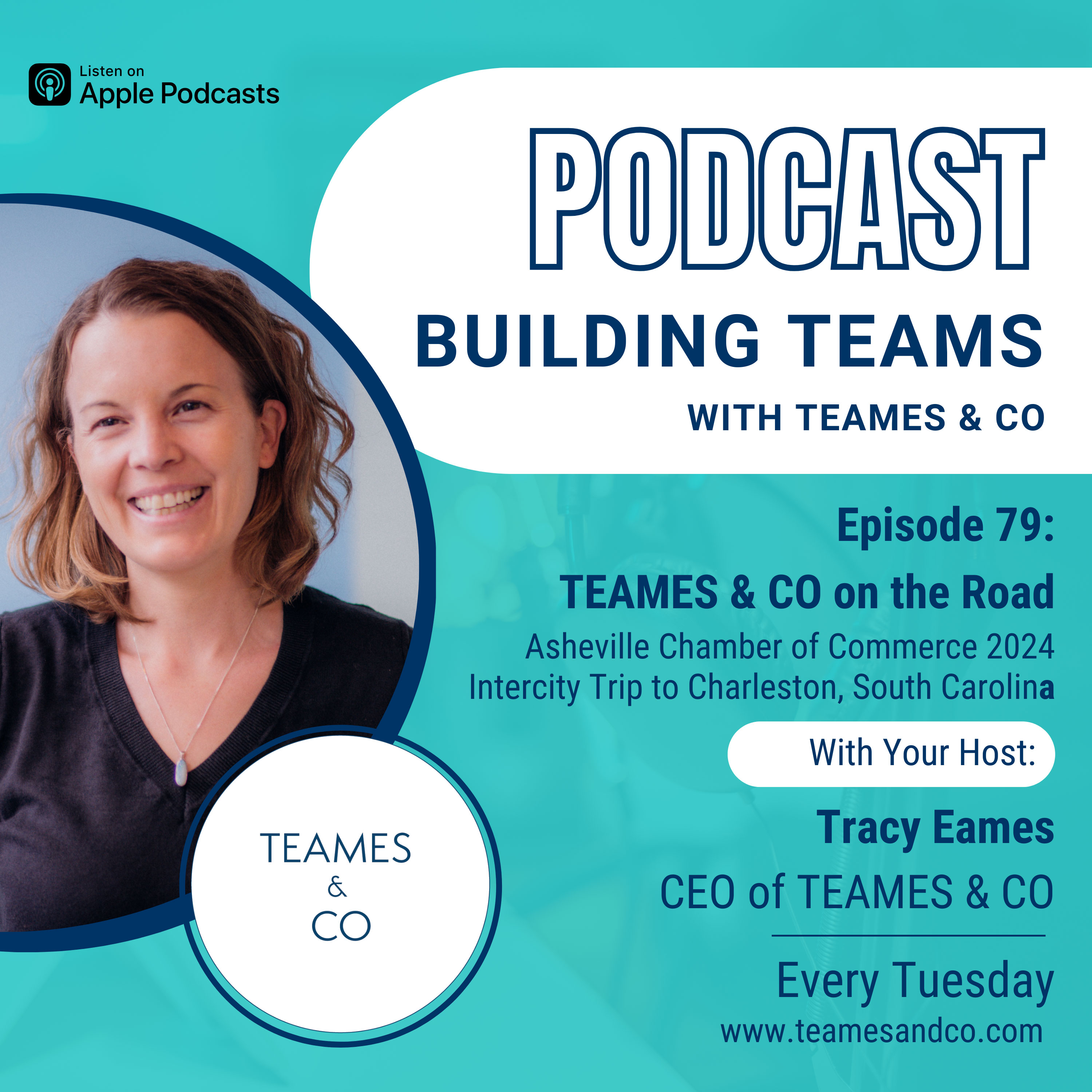 Building Teams with TEAMES & CO