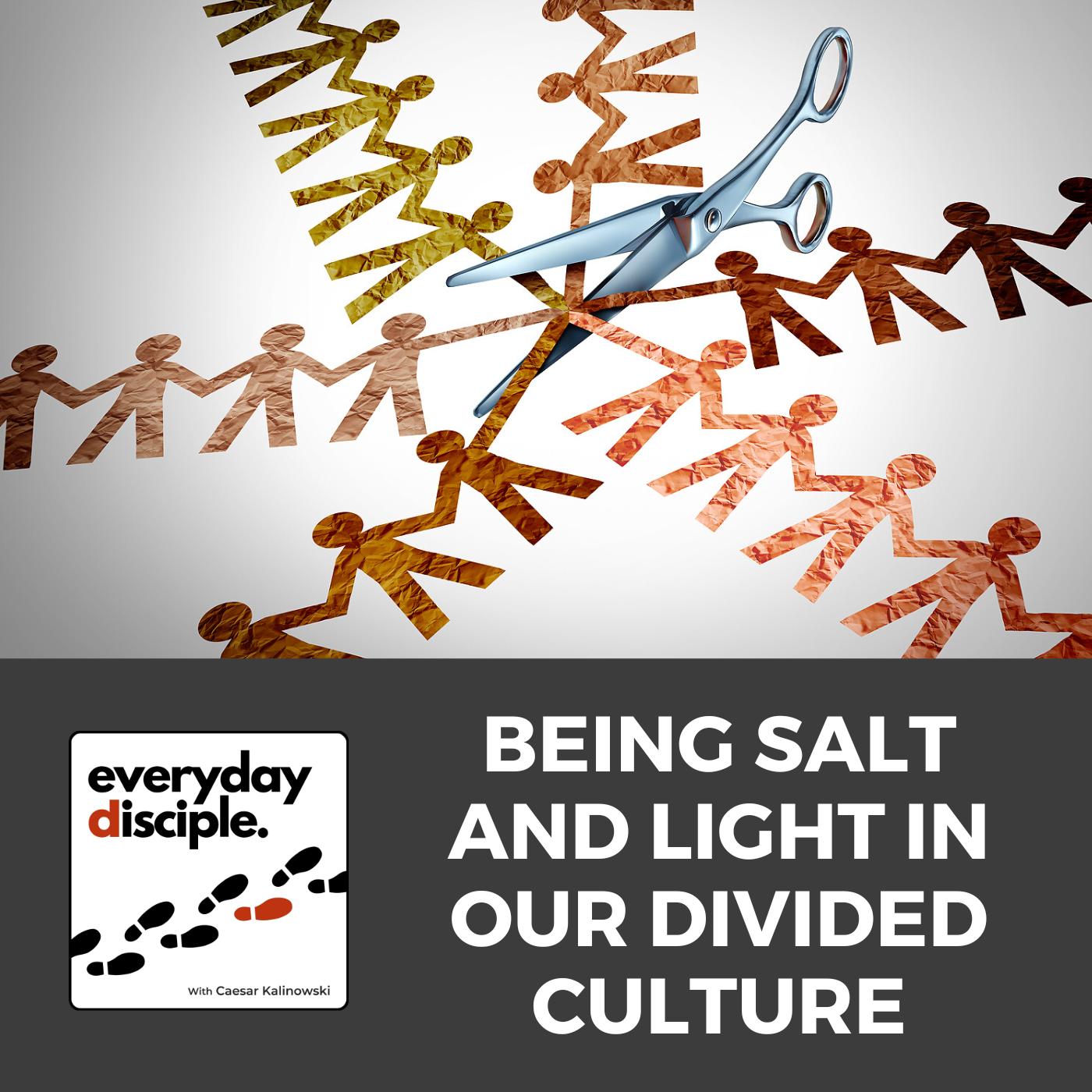 Being Salt and Light in Our Divided Culture
