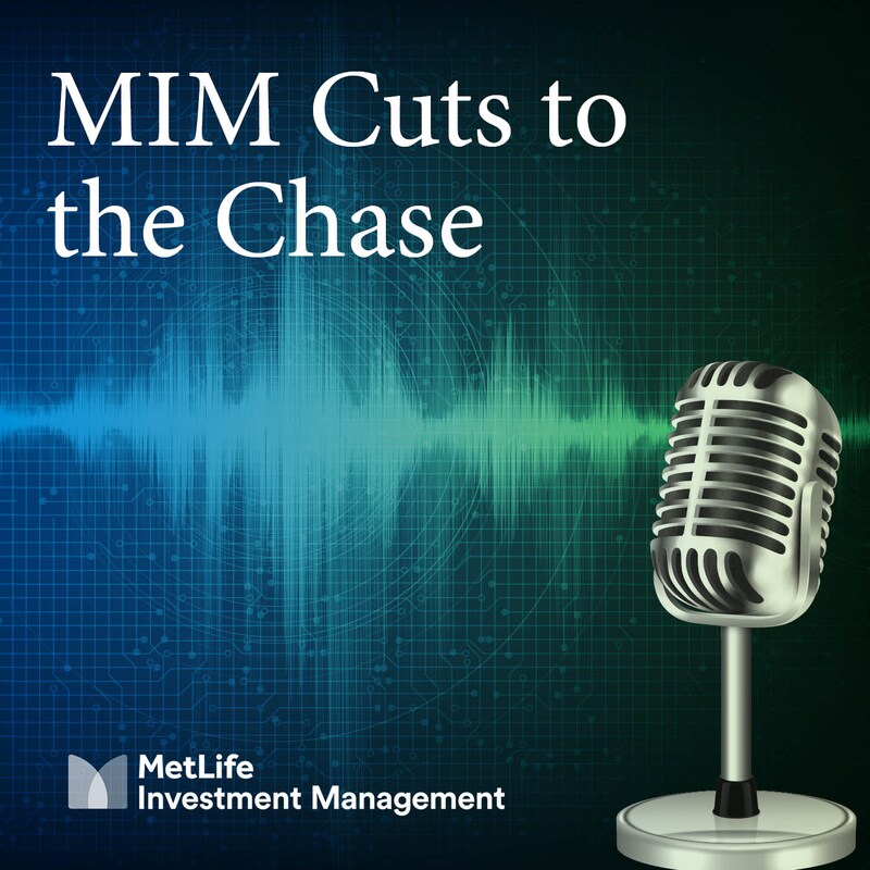 Artwork for podcast Metlife Test Player
