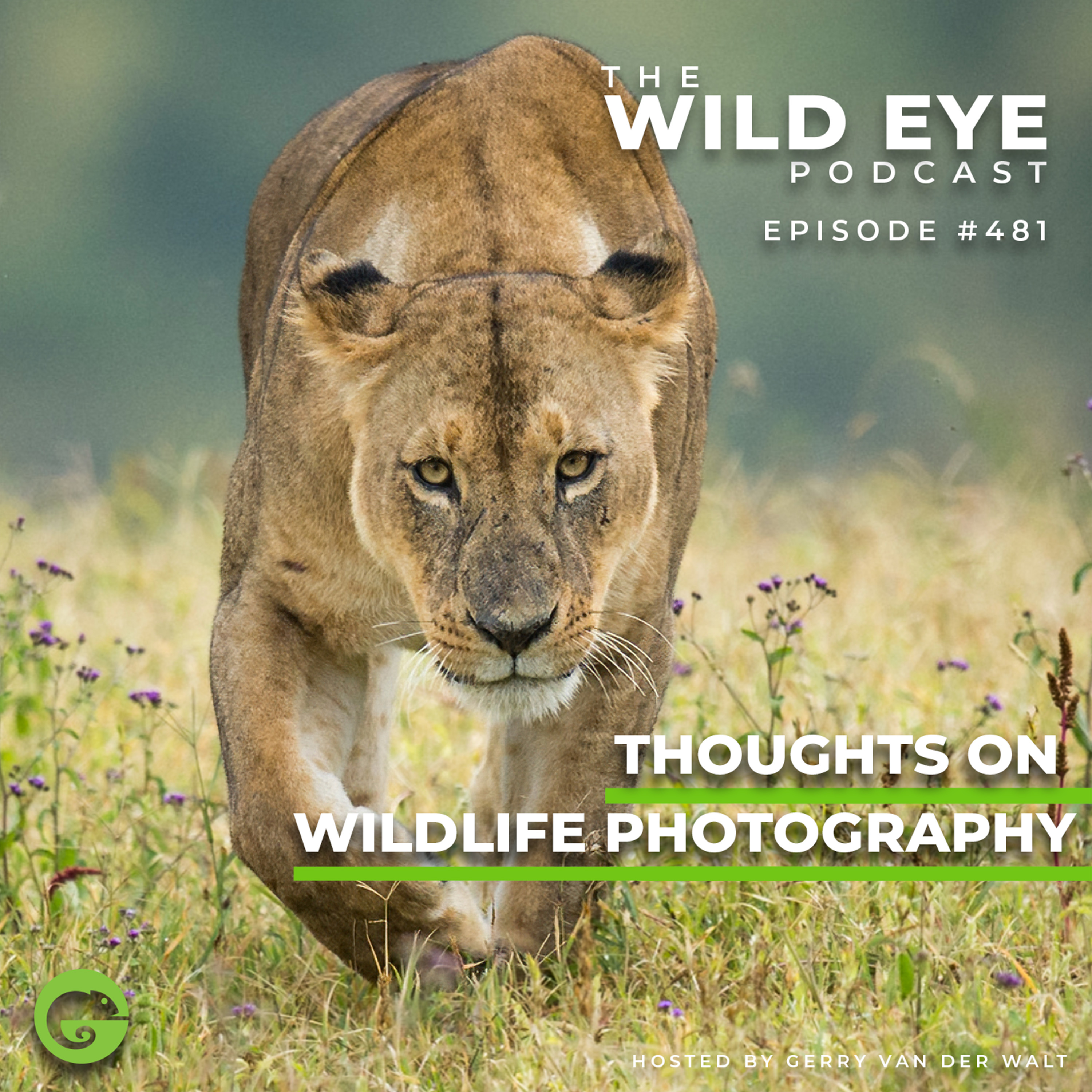 #481 - Thoughts on wildlife photography