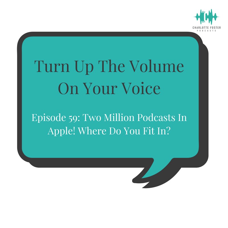 Artwork for podcast Turn Up The Volume On Your Voice