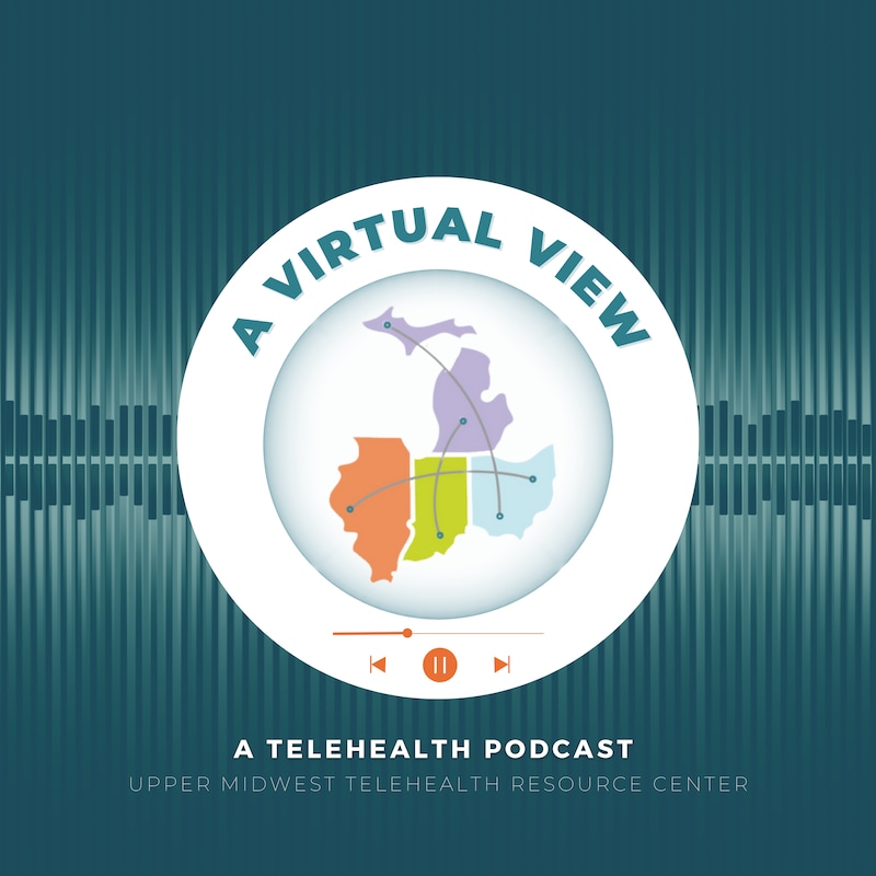 Artwork for podcast A Virtual View