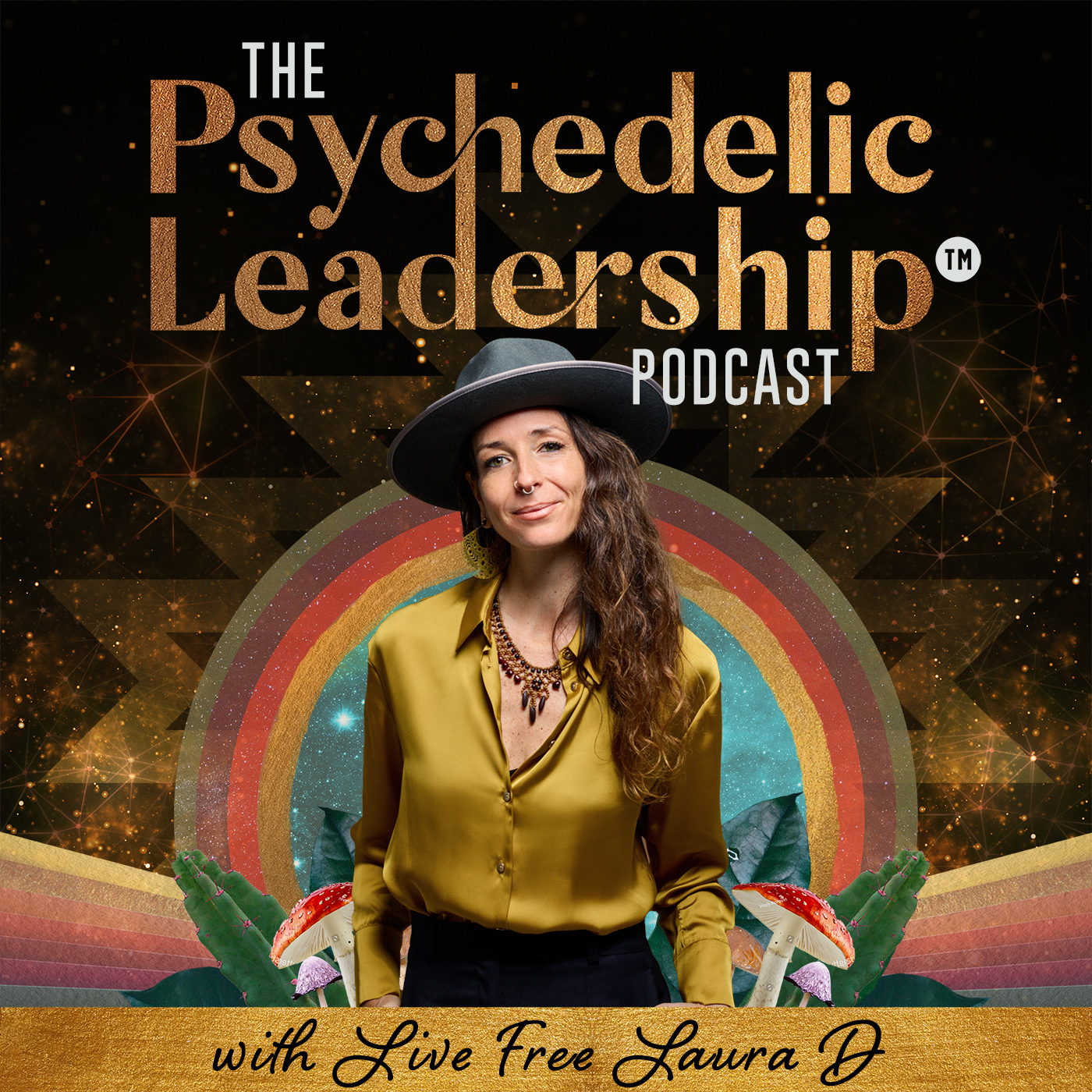 Artwork for podcast The Psychedelic Leadership Podcast