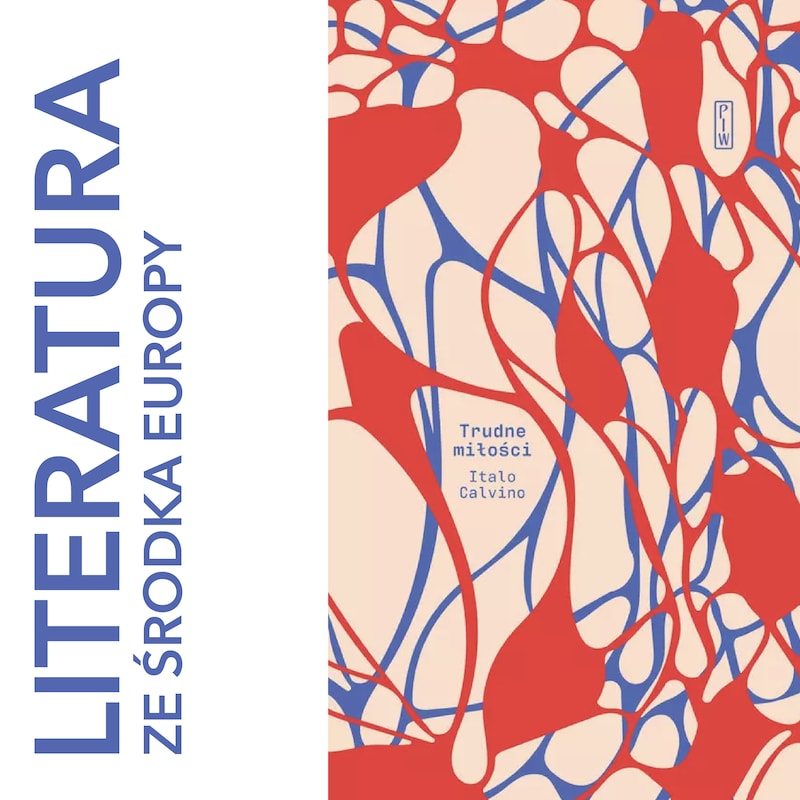 Artwork for podcast literatura ze środka Europy