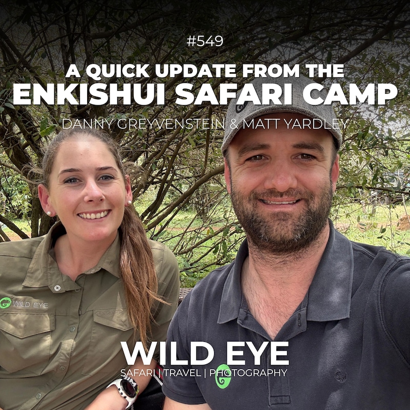 Artwork for podcast The Wild Eye Podcast