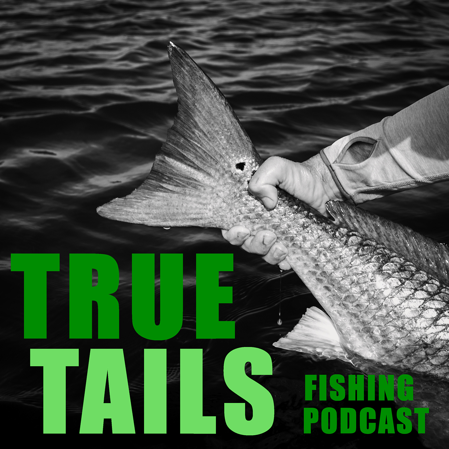 Artwork for podcast True Tails Fishing Podcast