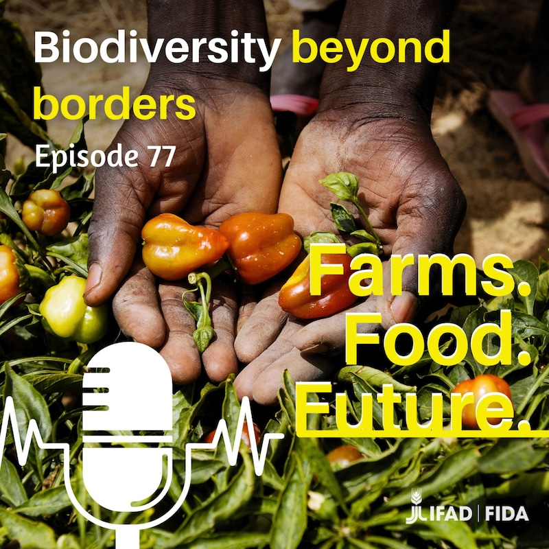 Artwork for podcast Farms. Food. Future.