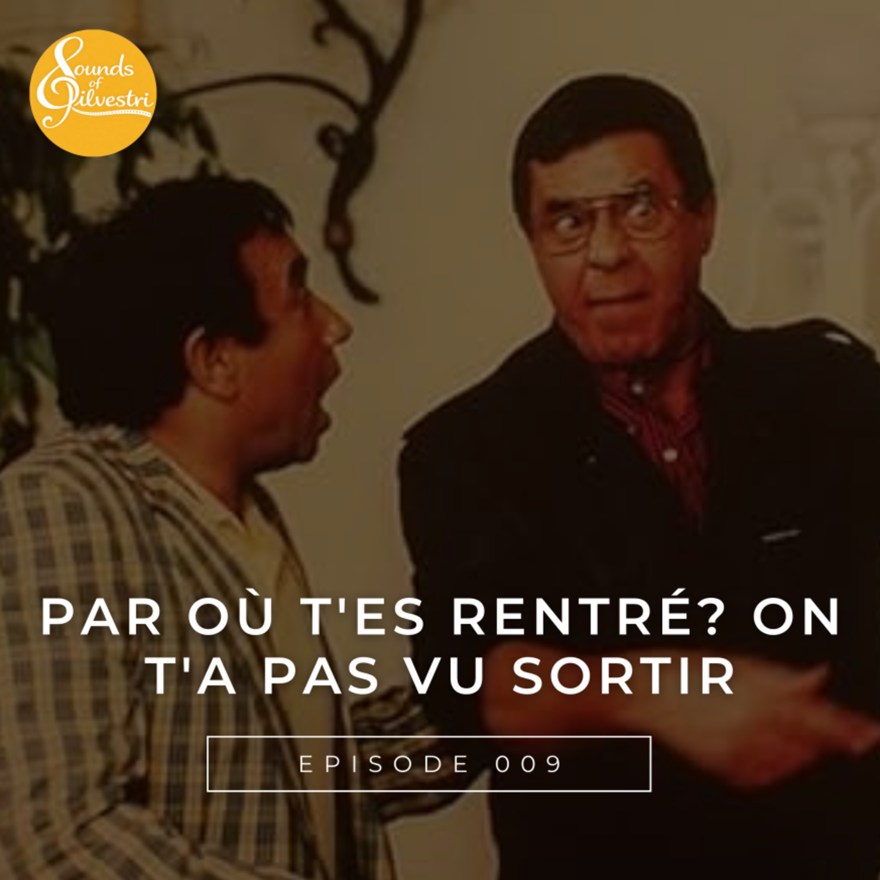 PAR OÙ T'ES RENTRÉ? ON T'A PAS VU SORTIR (1984) episode artwork