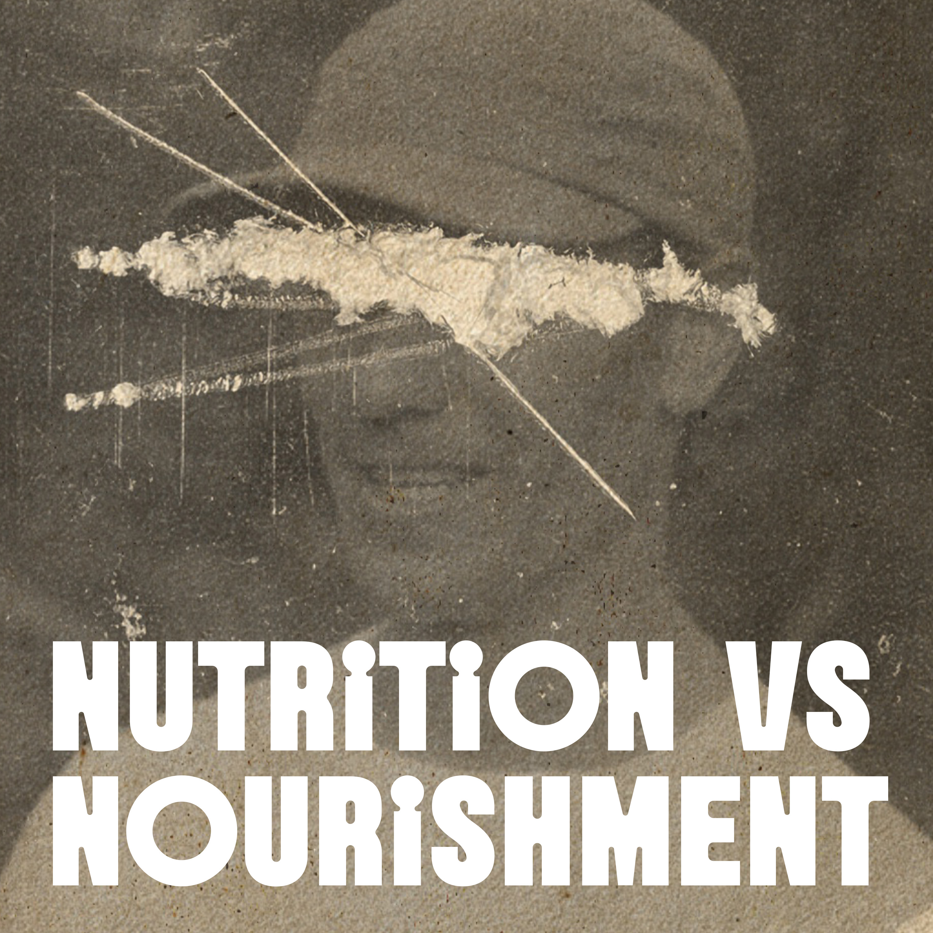 Endurance Running Nourishment vs Nutrition artwork