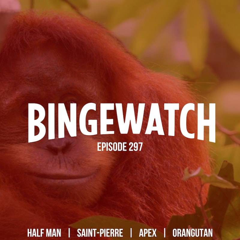 Artwork for podcast Bingewatch