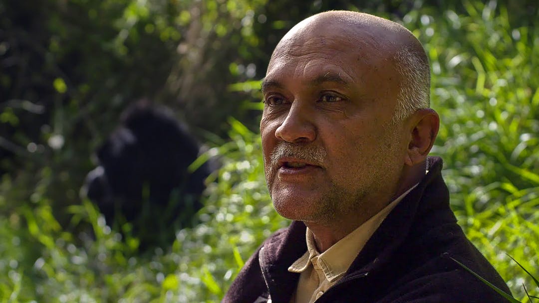 JANE GOODALL SPECIAL: Trekking with Chimpanzees and Mountain Gorillas