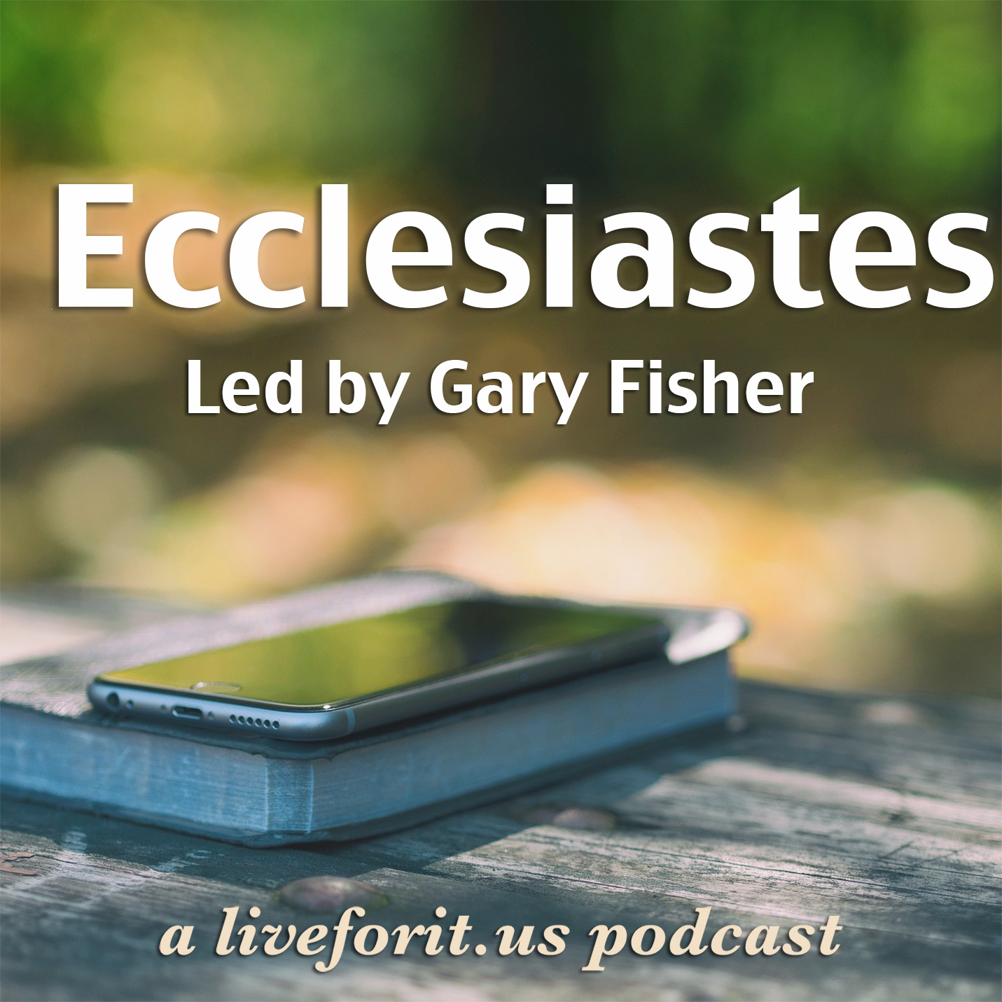 Artwork for podcast Liveforit Ecclesiastes Study