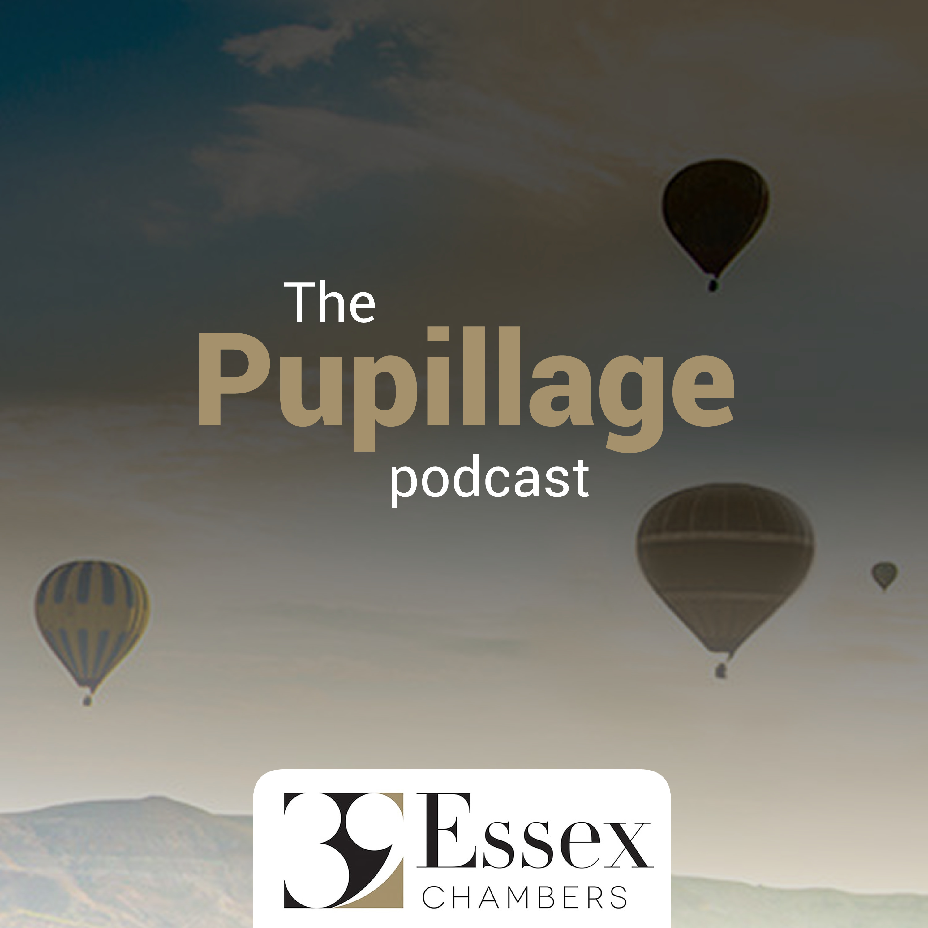 Artwork for podcast The Pupillage Podcast