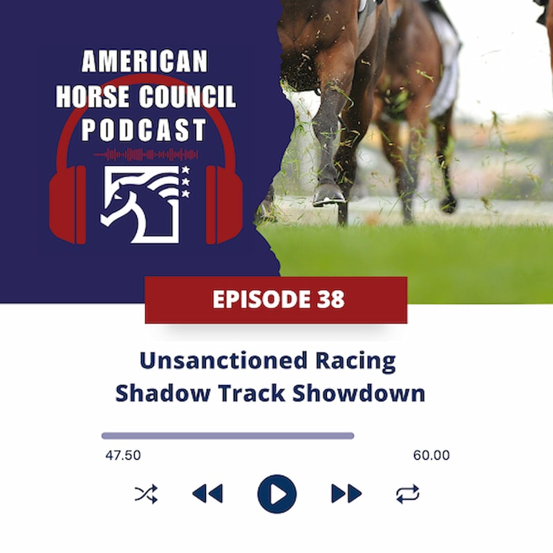 Artwork for podcast Horses in the Morning