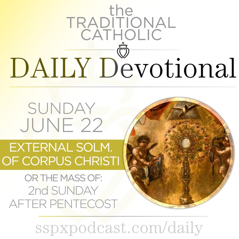 Artwork for podcast Traditional Catholic Daily Devotional