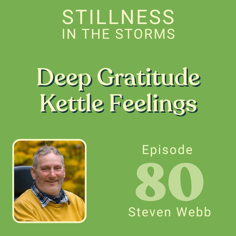 Artwork for podcast Stillness in the Storms