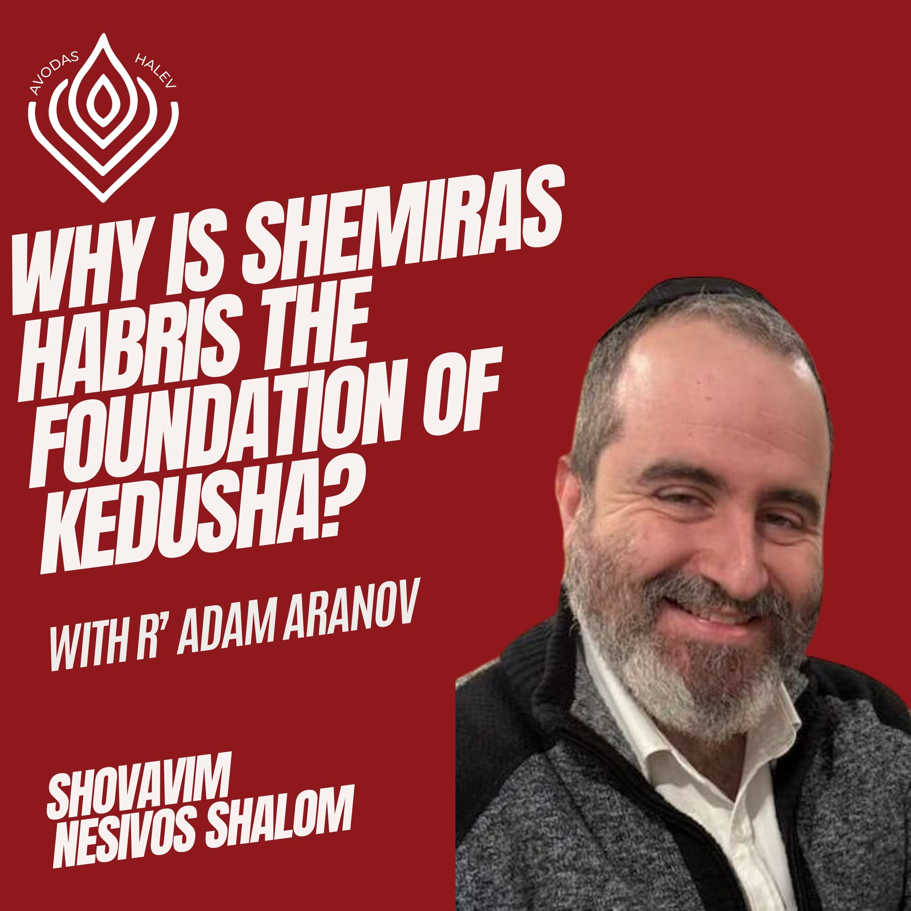 Why is Shemiras Habris the Foundation of Kedusha? (Part 2)