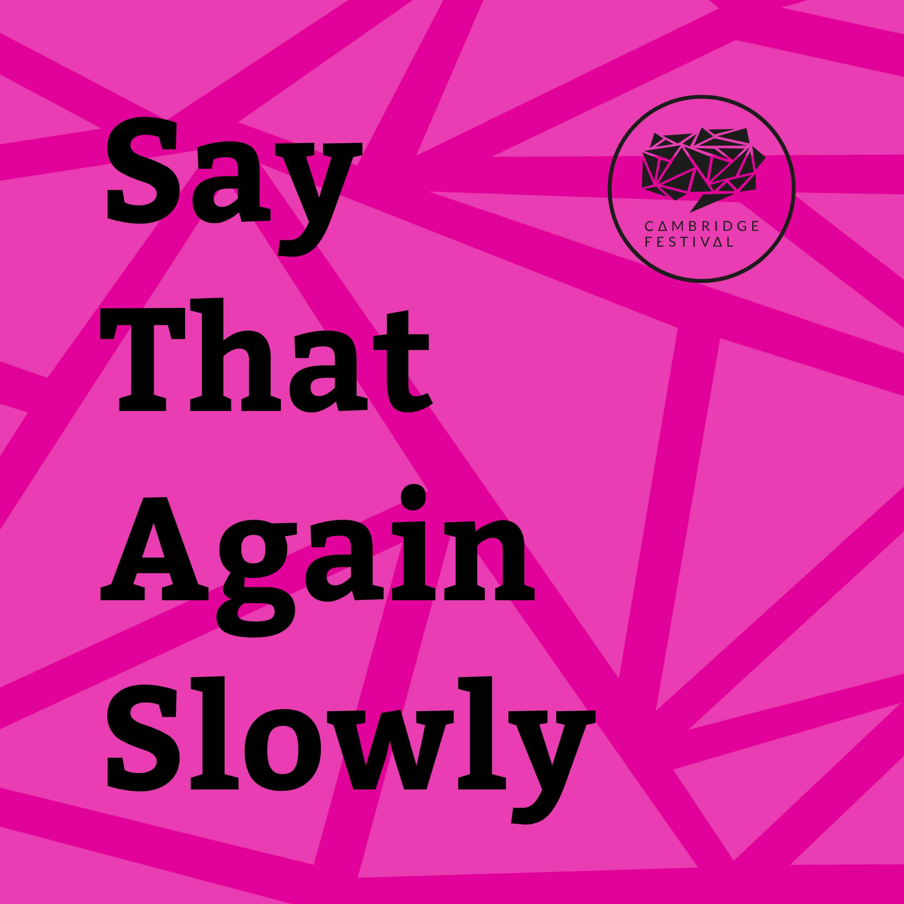 Show artwork for Say That Again Slowly - The Cambridge Festival Podcast!