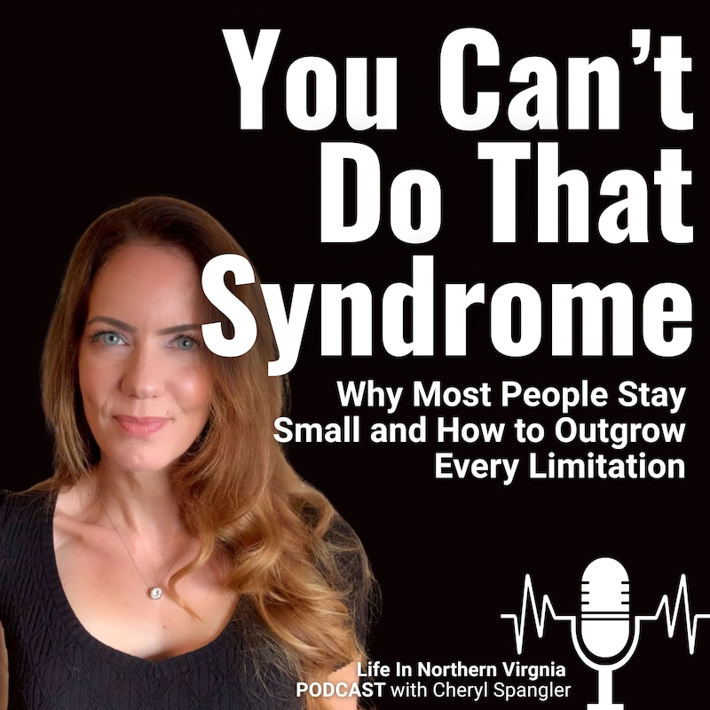 Artwork for podcast Life in Northern Virginia