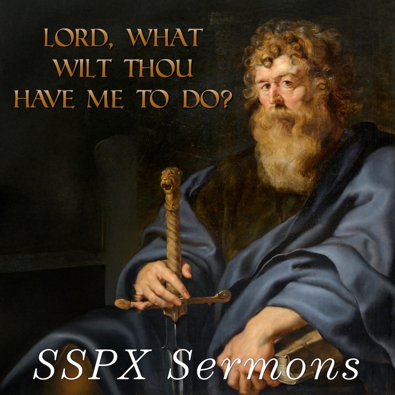 Artwork for podcast SSPX Sermons