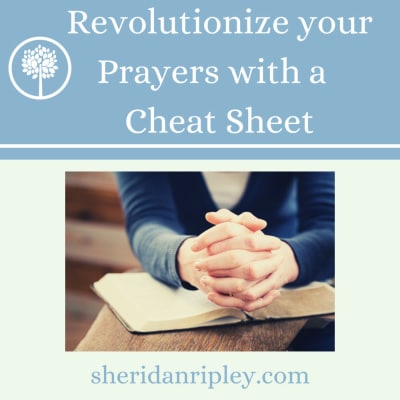 Artwork for podcast Finding Joy in the Journey