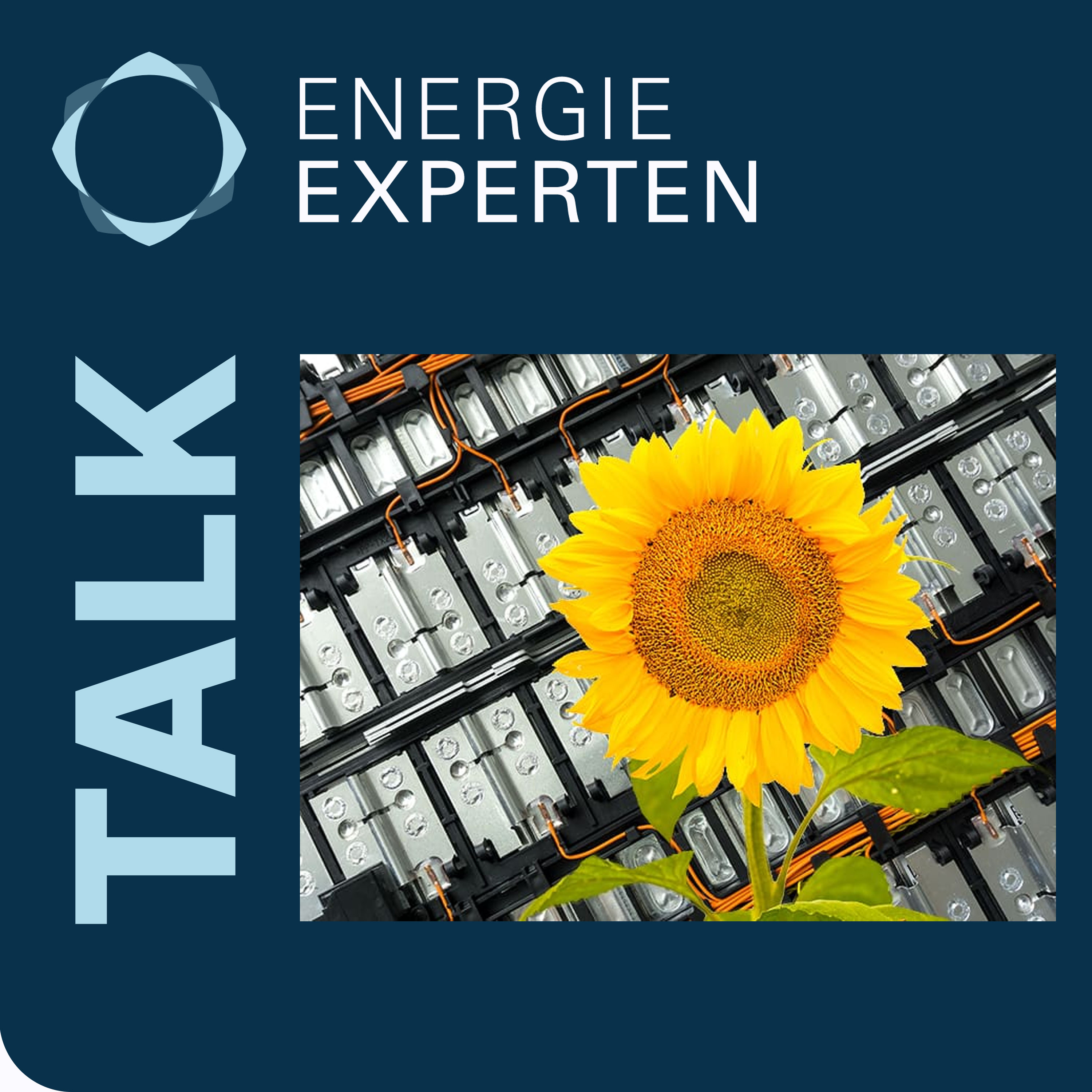 Energie-Experten