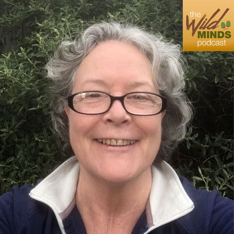 Artwork for podcast The Wild Minds Podcast