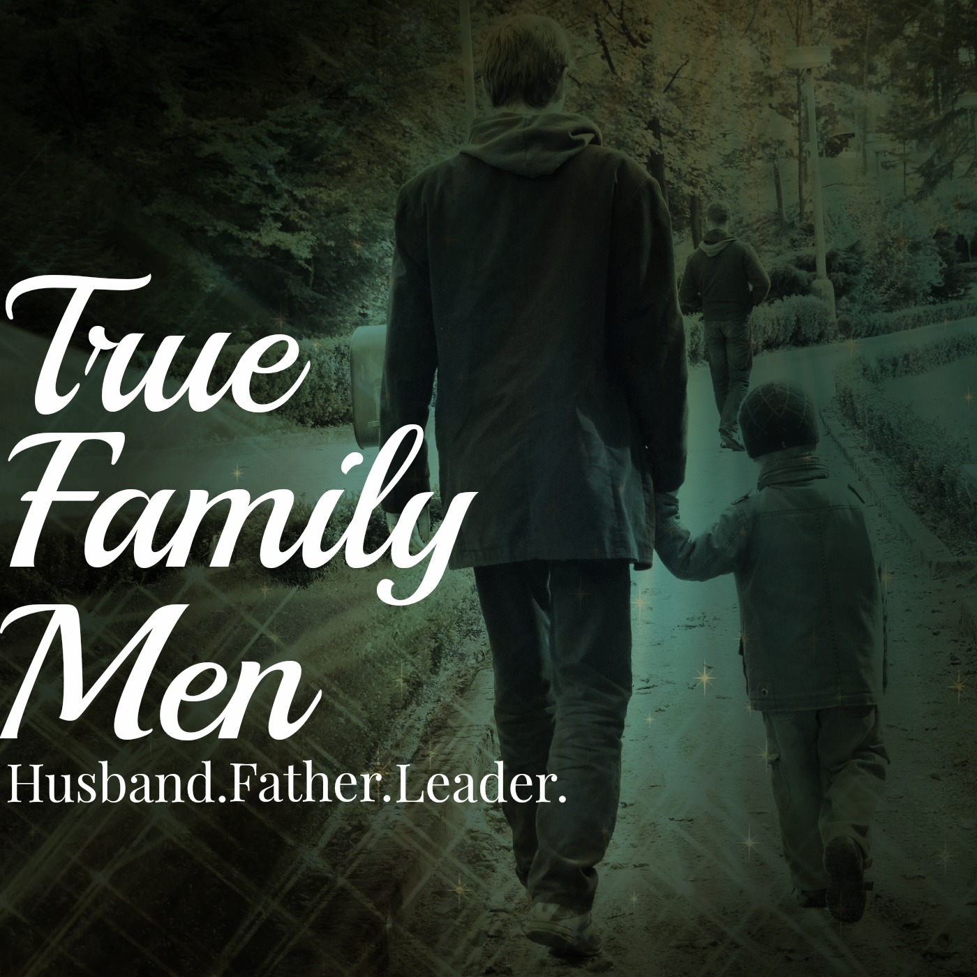 Artwork for podcast True Family Men