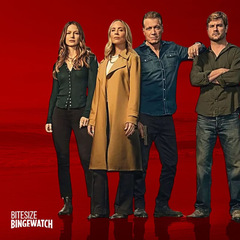 Artwork for podcast Bitesize Bingewatch