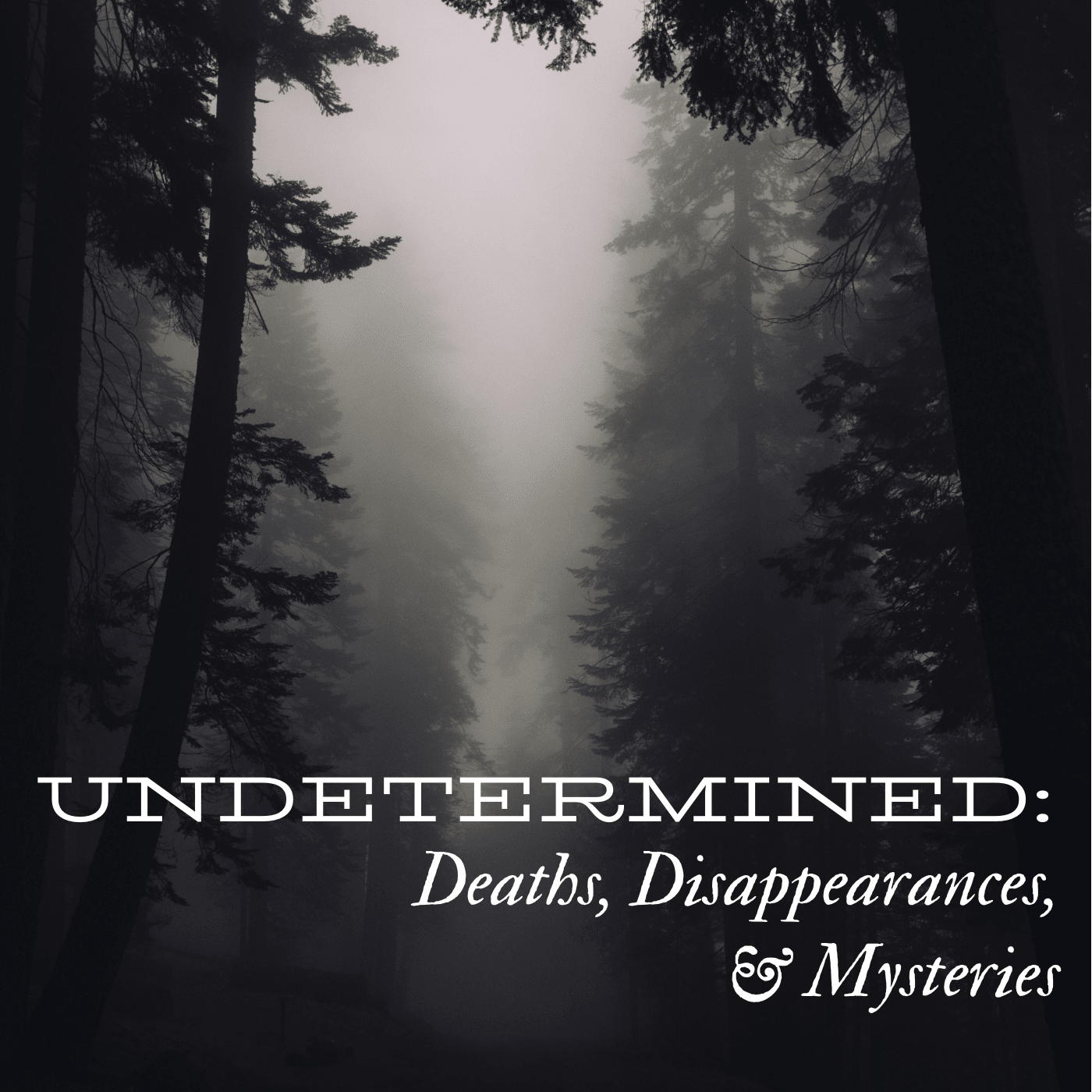 Show artwork for Undetermined: Deaths, Disappearances, & Mysteries